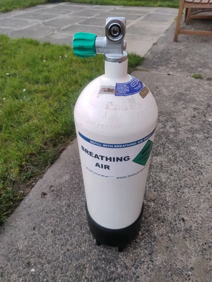 10L Scuba Diving Bottle - Image 4