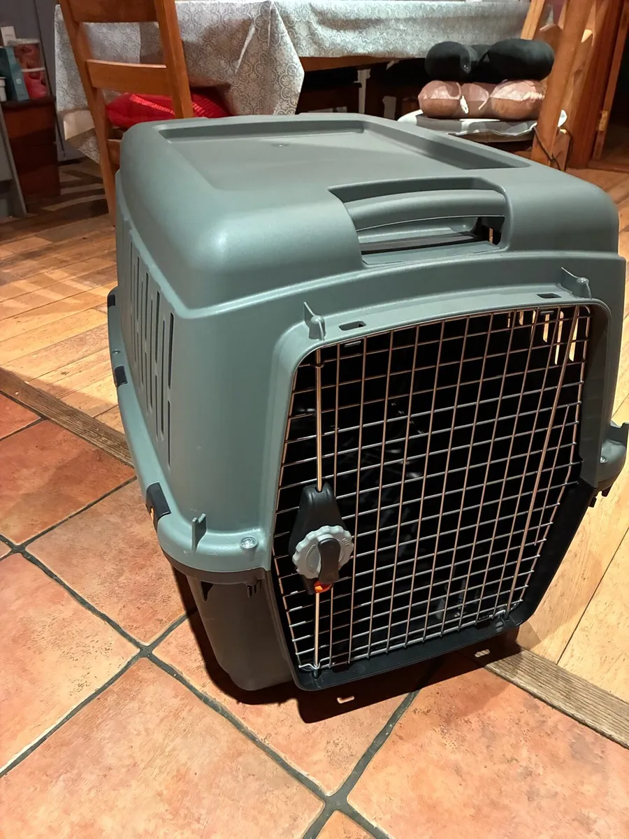Dog Box traveling - Image 1