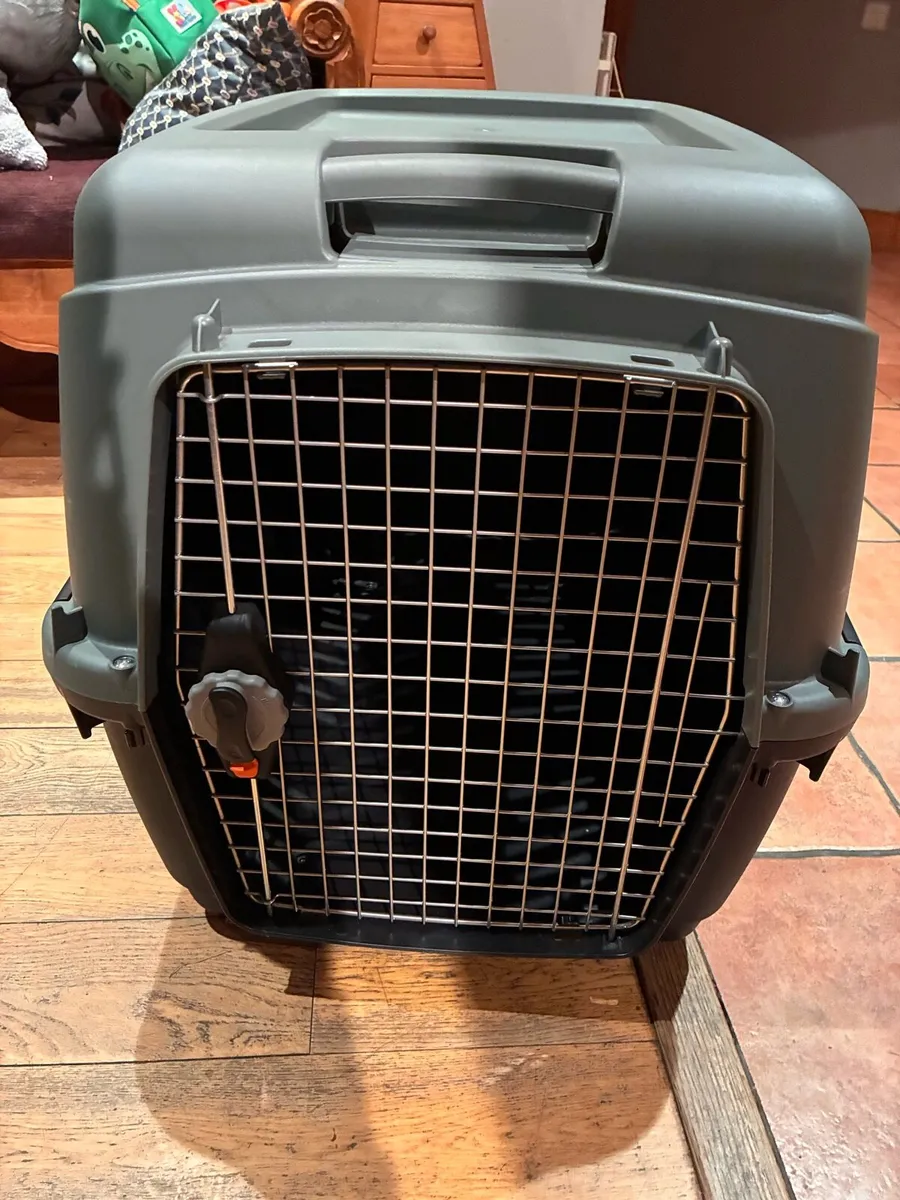 Dog Box traveling - Image 2