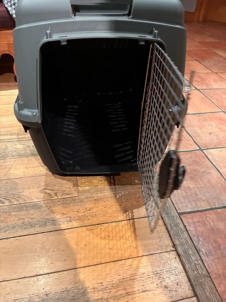 Dog Box traveling - Image 3