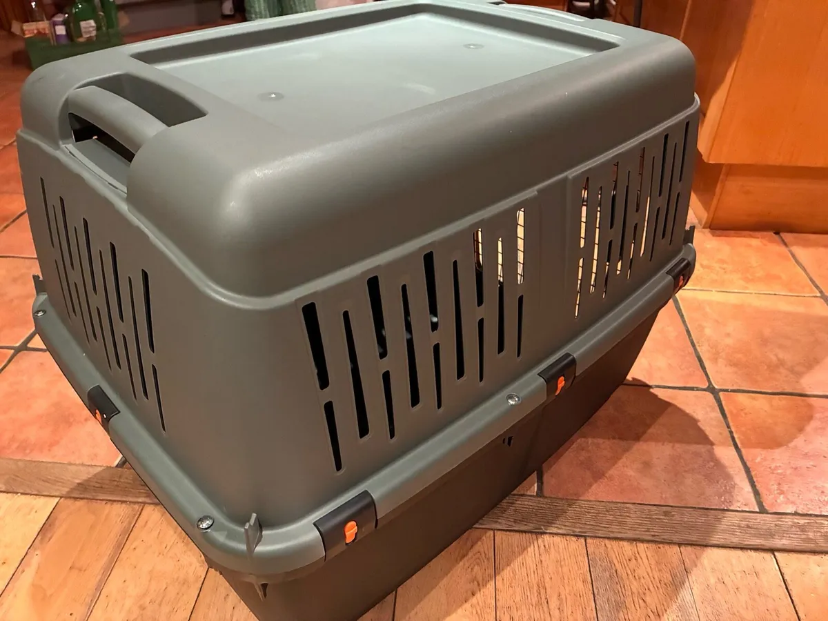 Dog Box traveling - Image 4