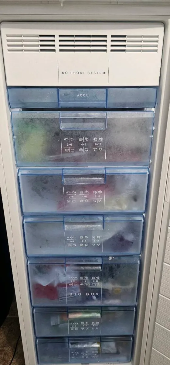 Bosch Excel  Tall Stamding Freezer - Image 2