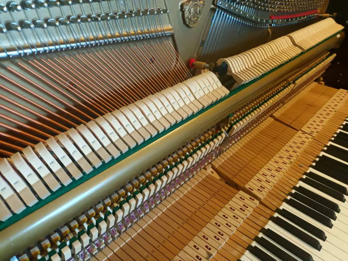 2016 Samick | Mint | Lifetime Piano - Image 2