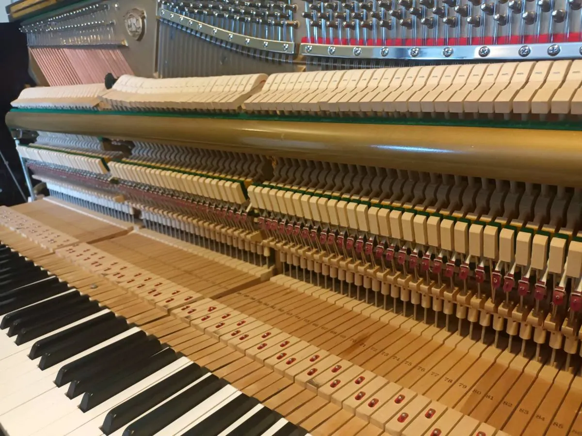 2016 Samick | Mint | Lifetime Piano - Image 4