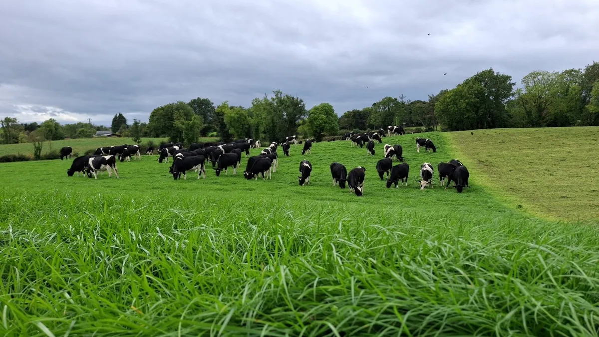 Contract rearing available - Image 1