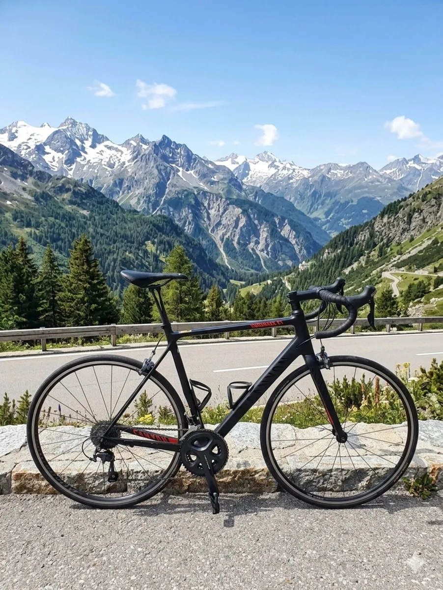 Canyon Endurace CF 9 - Image 1