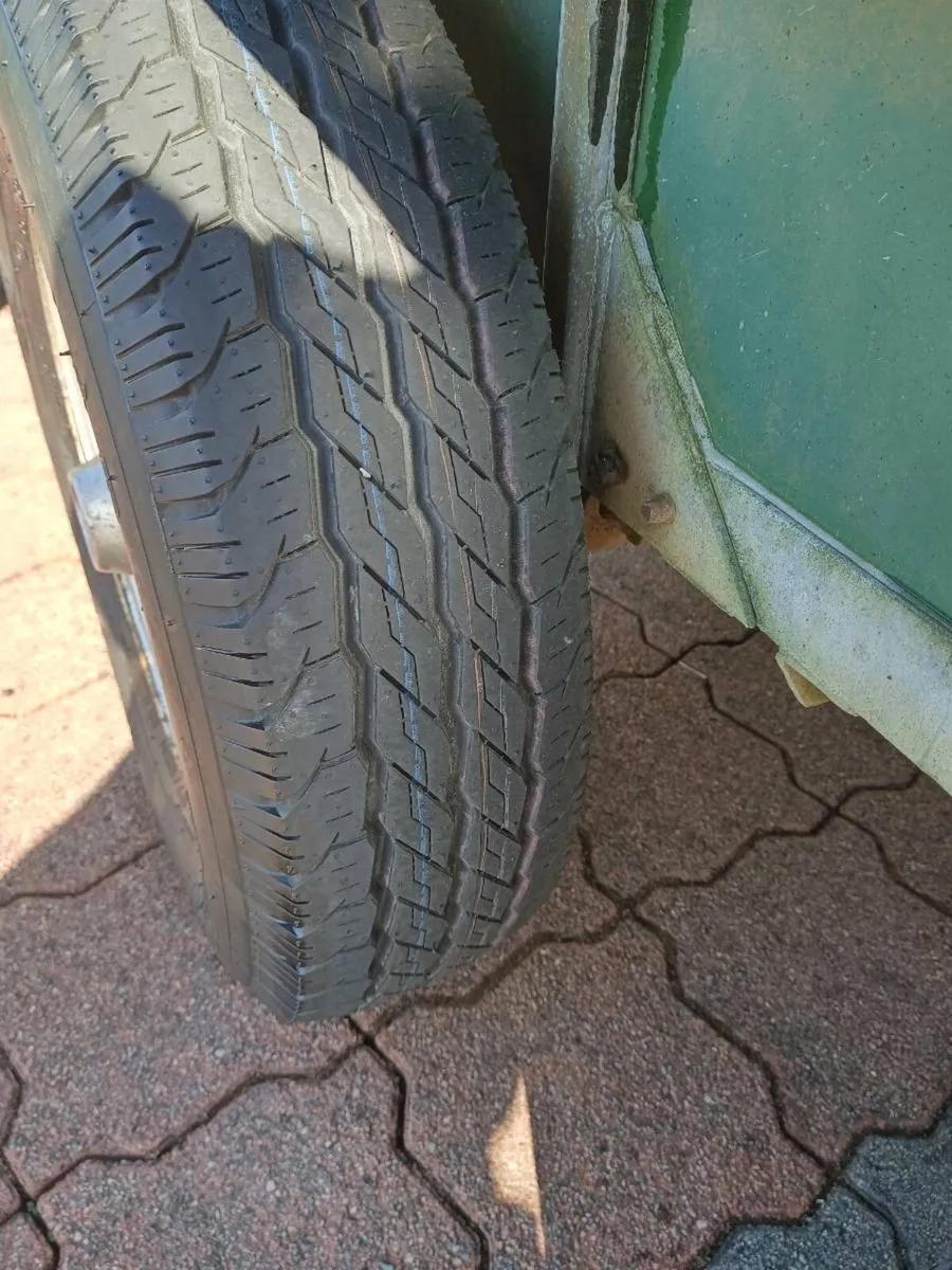 Richardson double horse trailer - Image 4