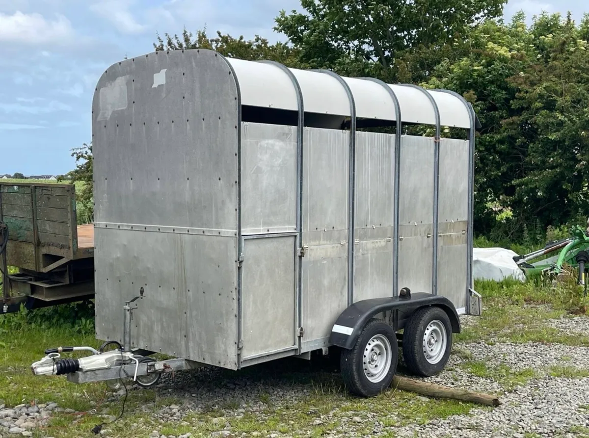 High roof horse/cattle - Image 1