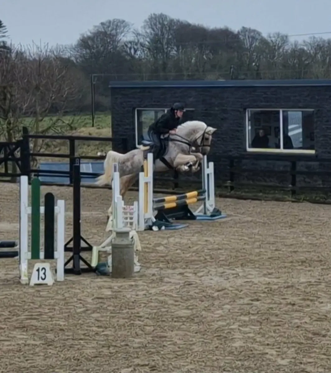 148 Showjumping Pony - Image 1