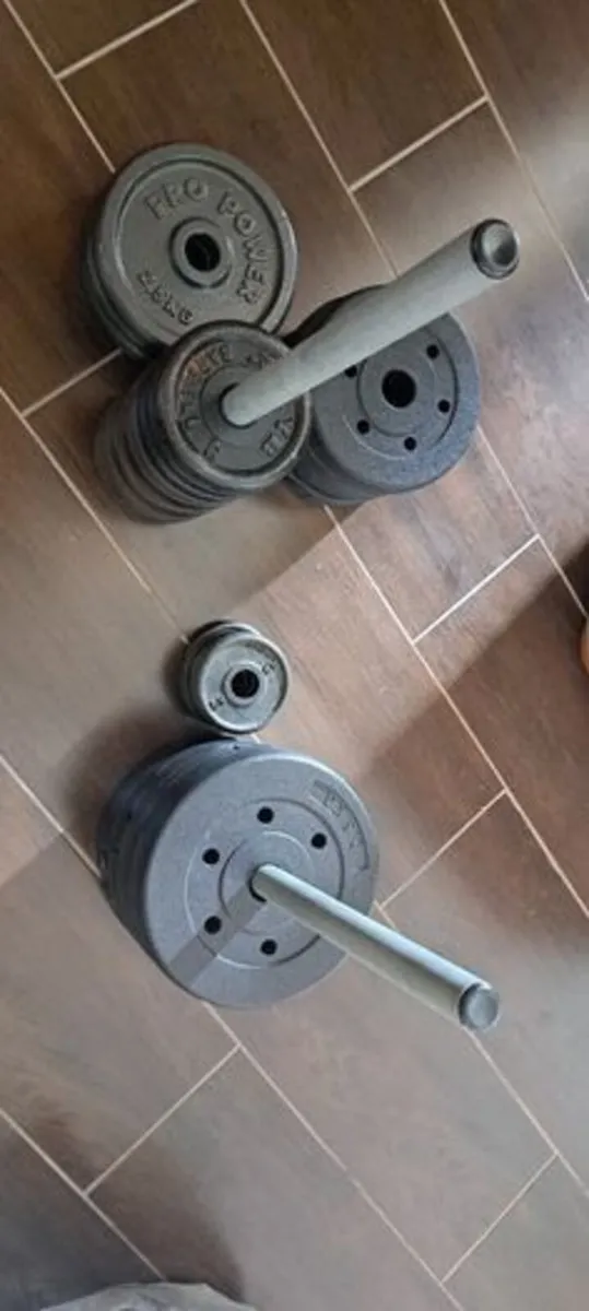 Weights - 39.5KG Weight Plates - Image 1