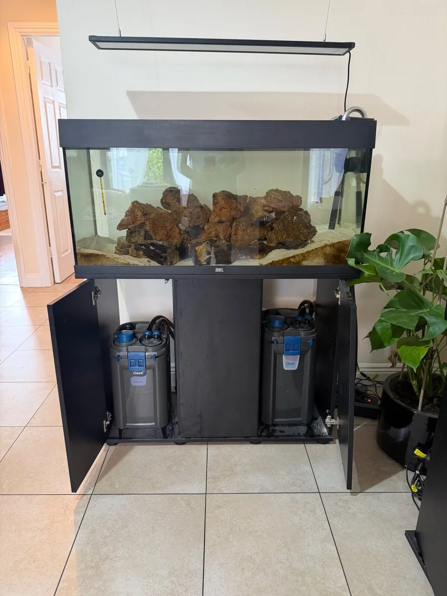 Fish tank - Image 2