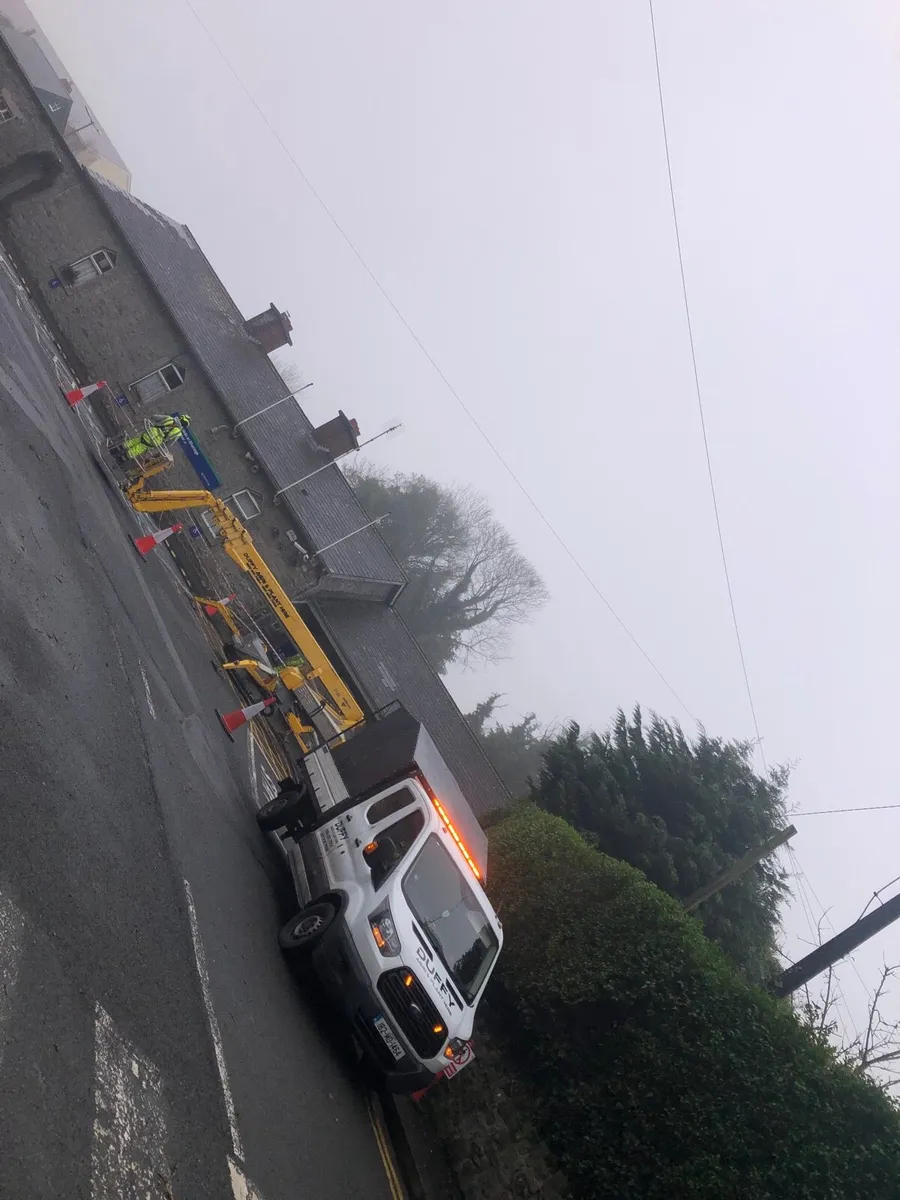 🌲🌲Tree surgeon🌲🌲 - Image 2