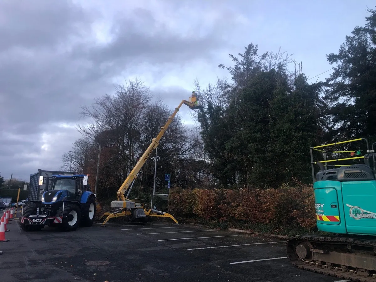 🌲🌲Tree surgeon🌲🌲 - Image 3