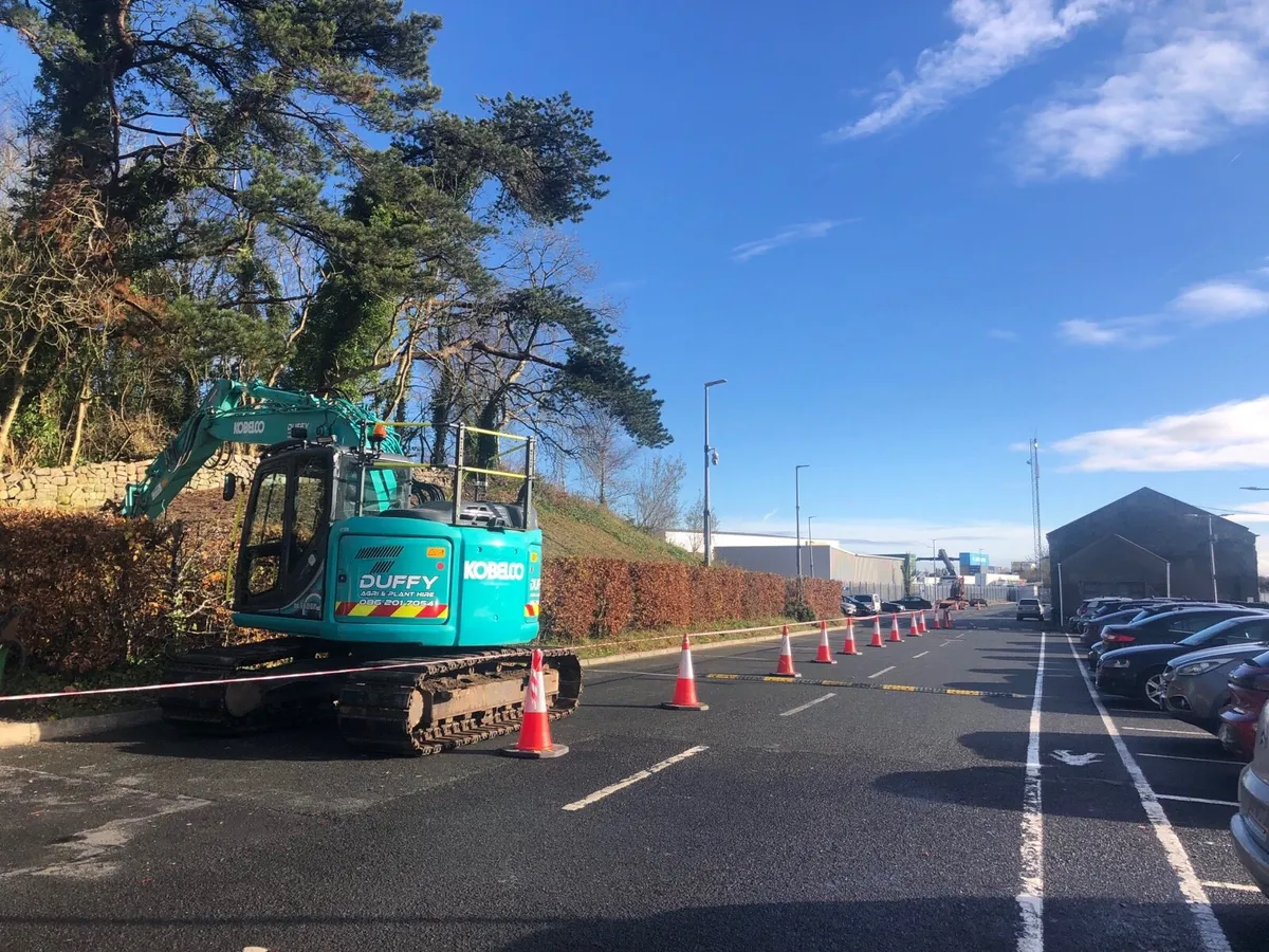 🌲🌲Tree surgeon🌲🌲 - Image 4