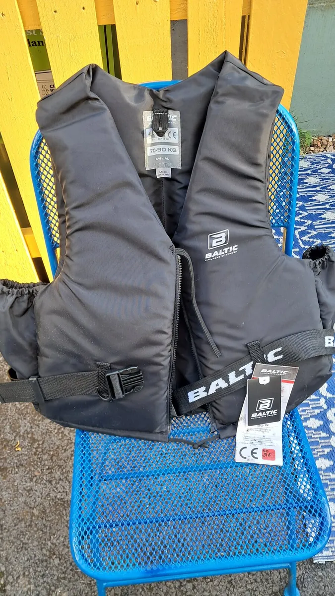 Inflatable family dingy & life jackets - Image 3