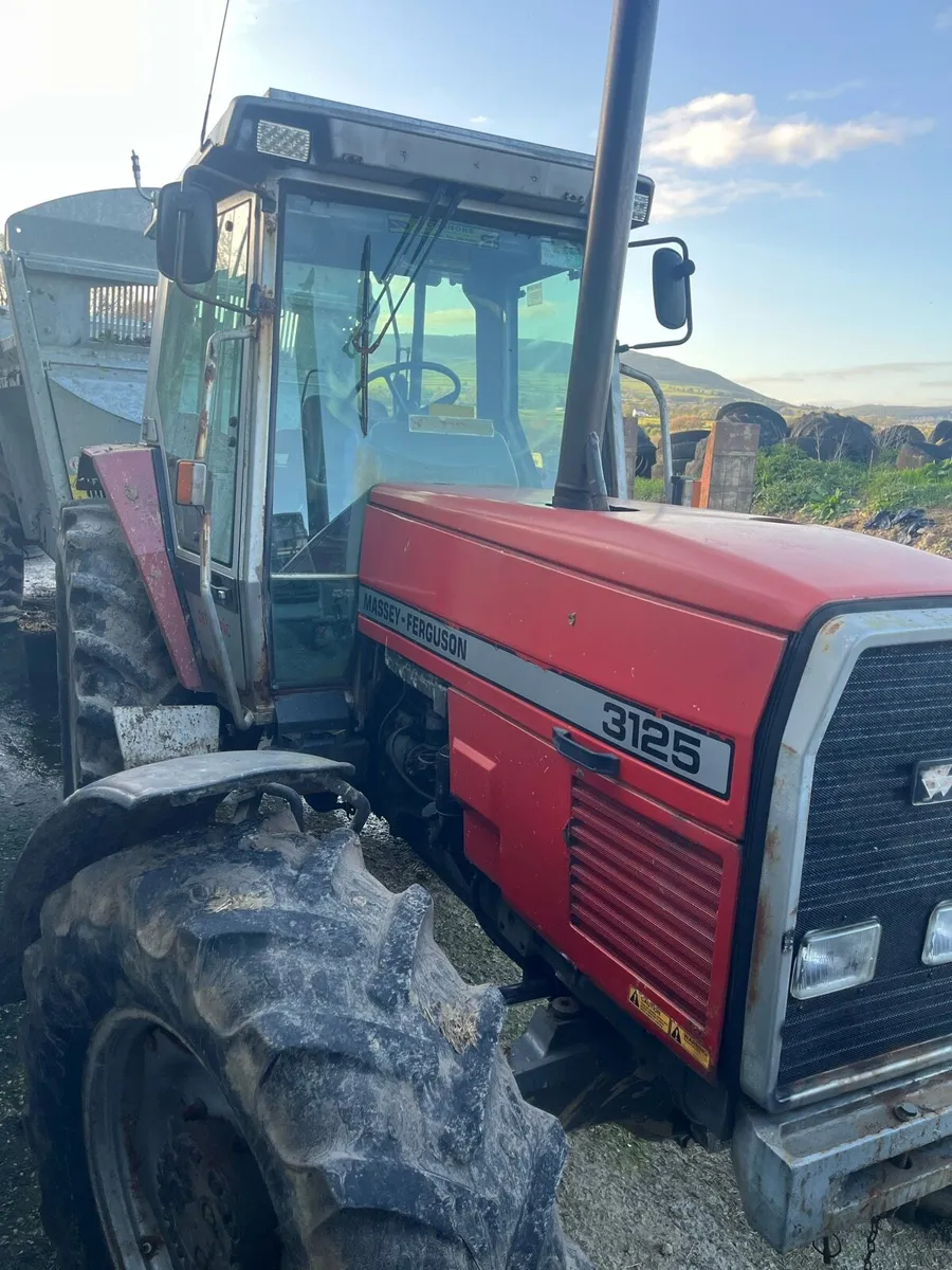Massey Ferguson 3125 - Image 2