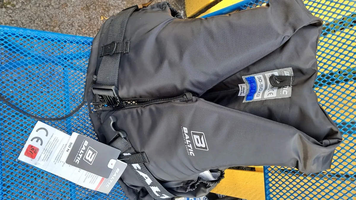 Inflatable family dingy & life jackets - Image 4