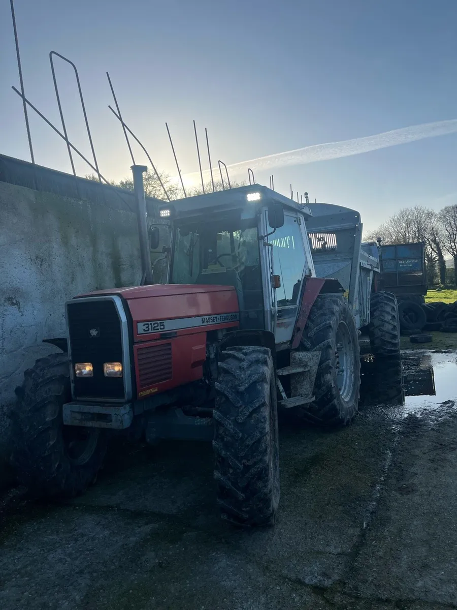 Massey Ferguson 3125 - Image 3