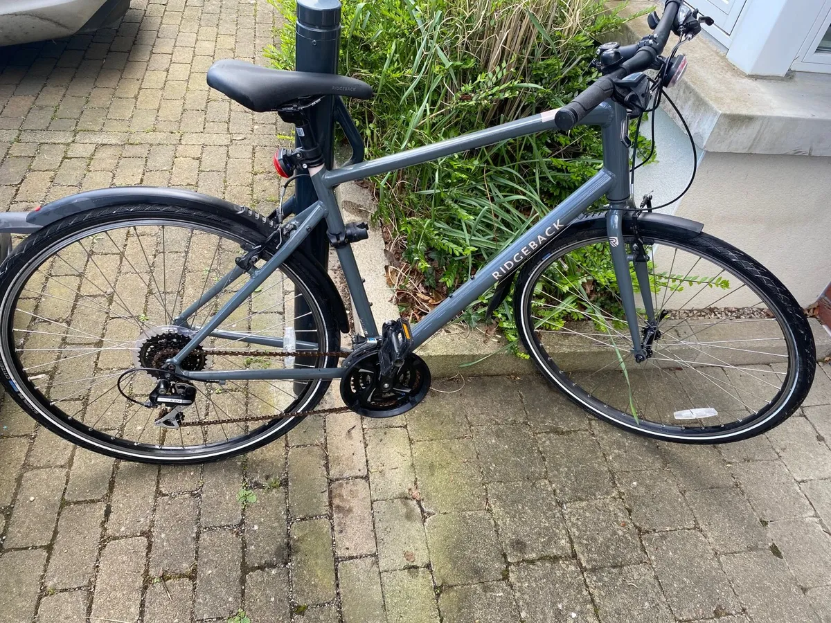 Ridgeback Velocity Men XL bike