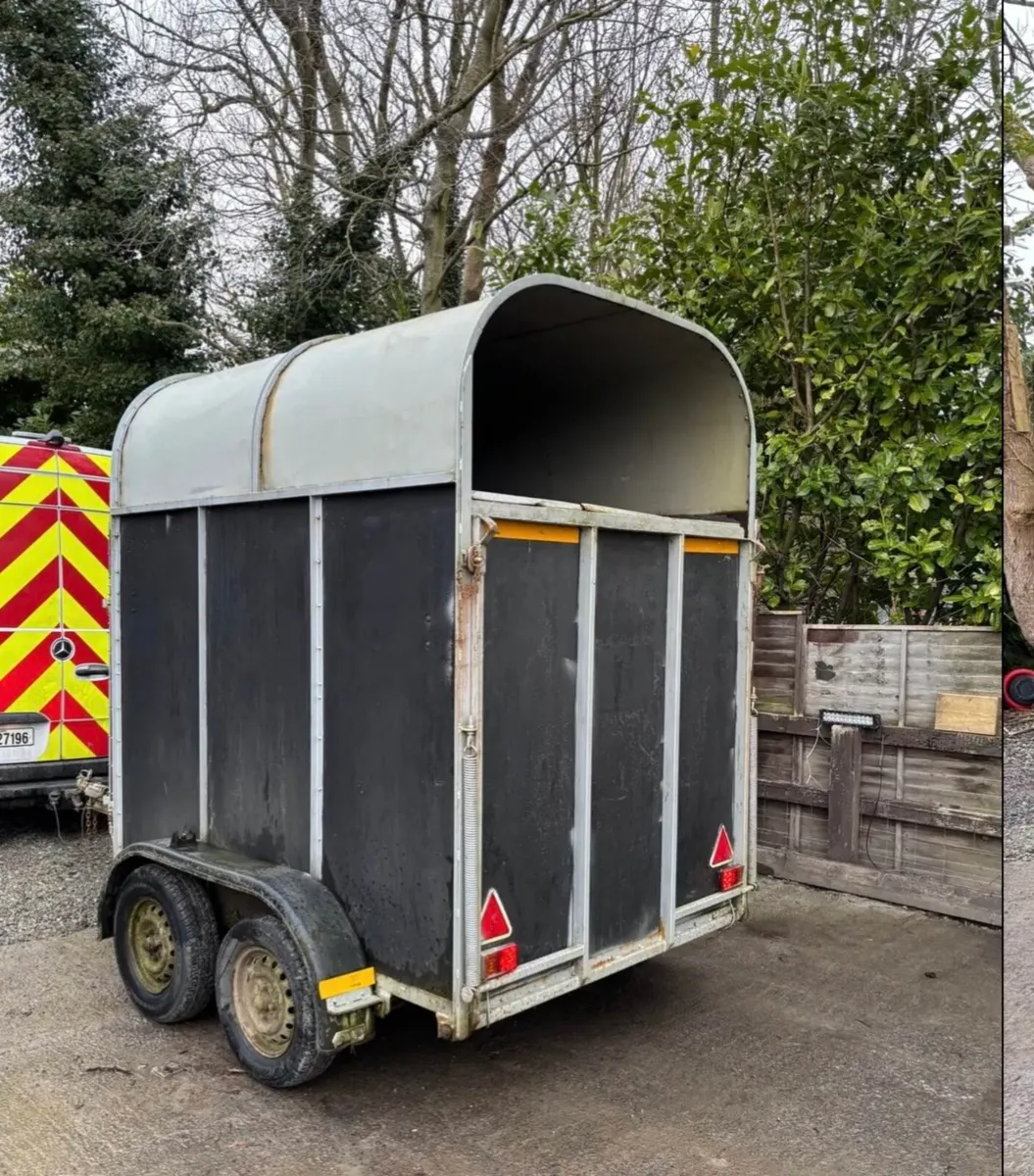 Horse trailer - Image 4