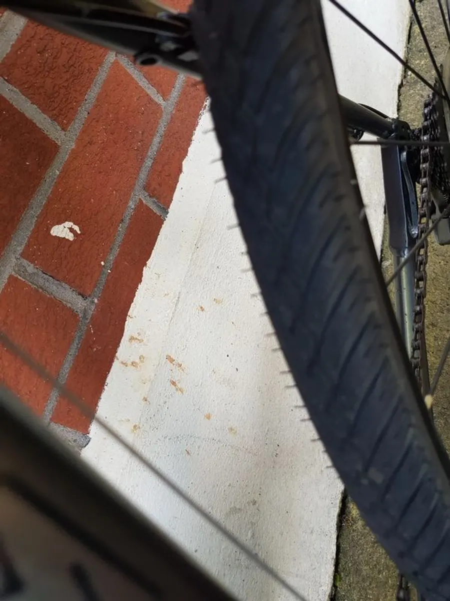 Bike Scott Cross Perfect Condition - Image 3