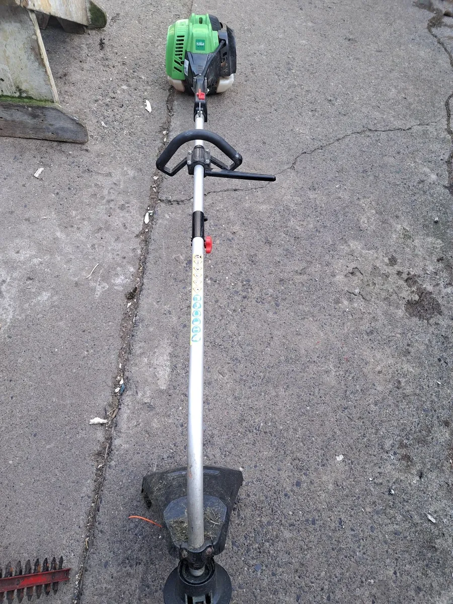 Strimmer - Image 1