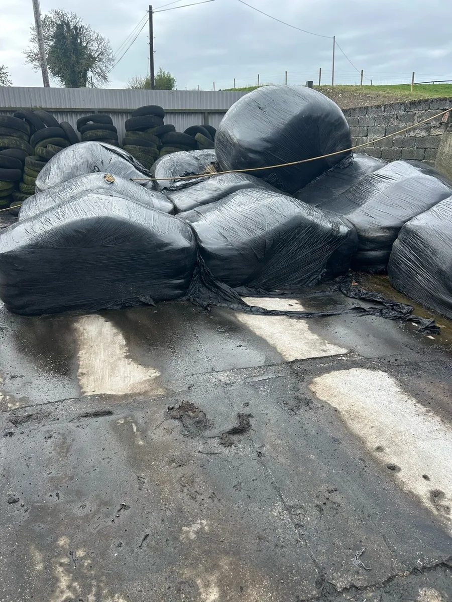 Silage bales - Image 3