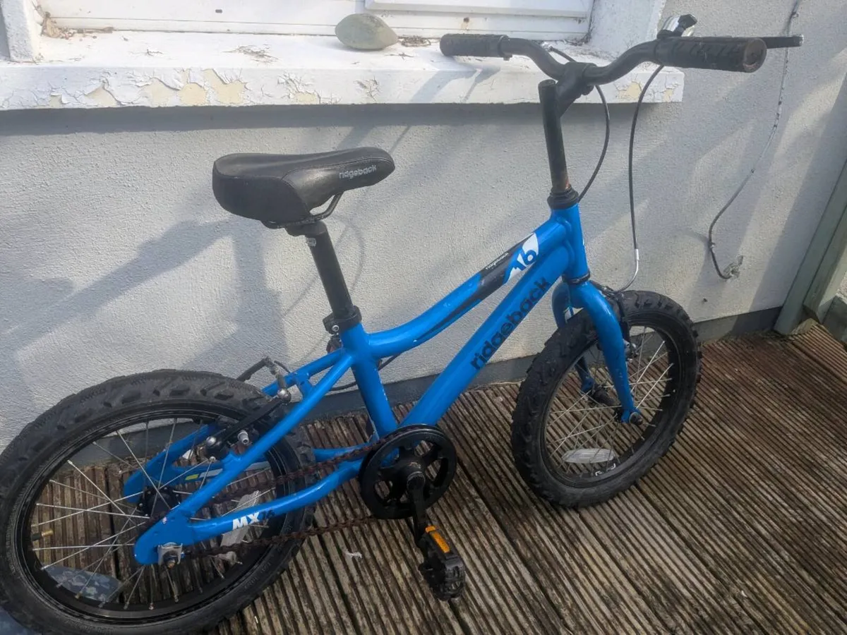 Kids Ridgeback Bike - Image 1