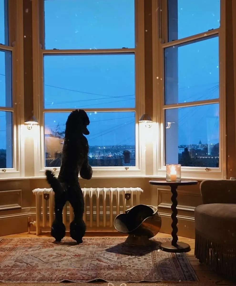 Cast iron radiators 🔥 fully restored 🔥 All sizes - Image 4