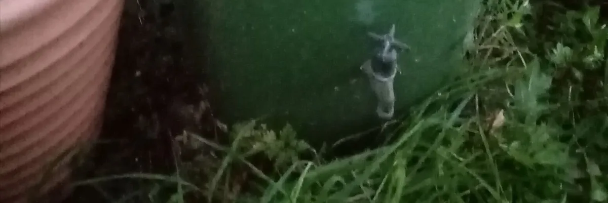 Heavy-Duty Outdoor Water Collection Tank ... - Image 1