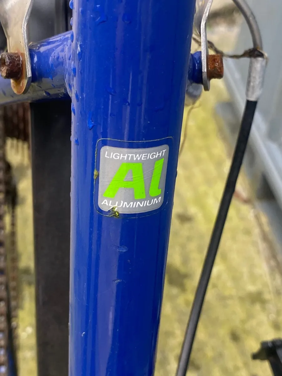 Ladies bike - Image 2