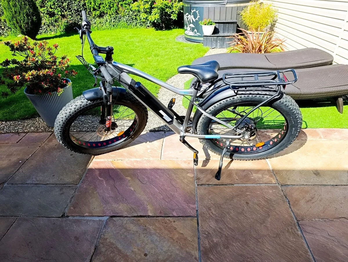 Electric bike - Image 3