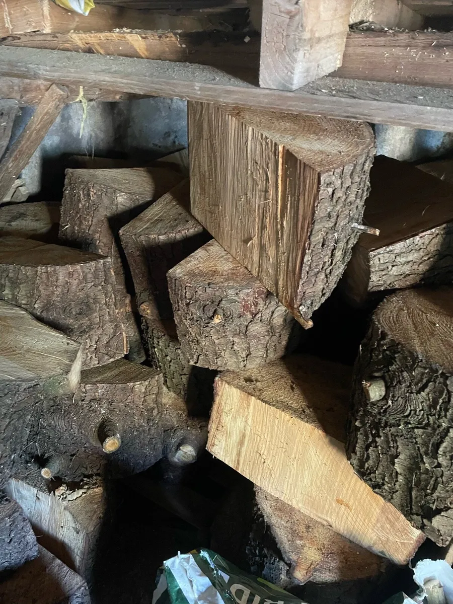 Firewood Rings: Trailer of Cedar - Image 1