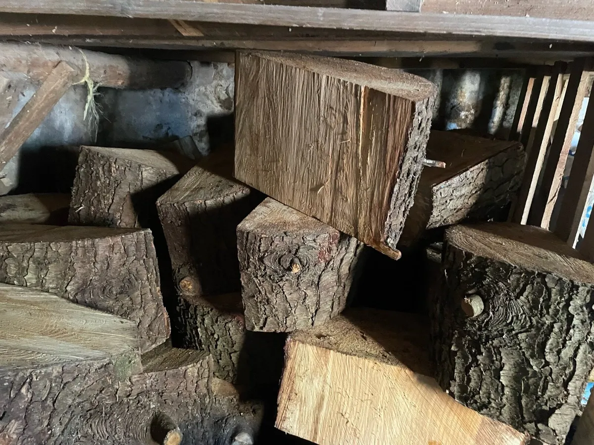 Firewood Rings: Trailer of Cedar - Image 2
