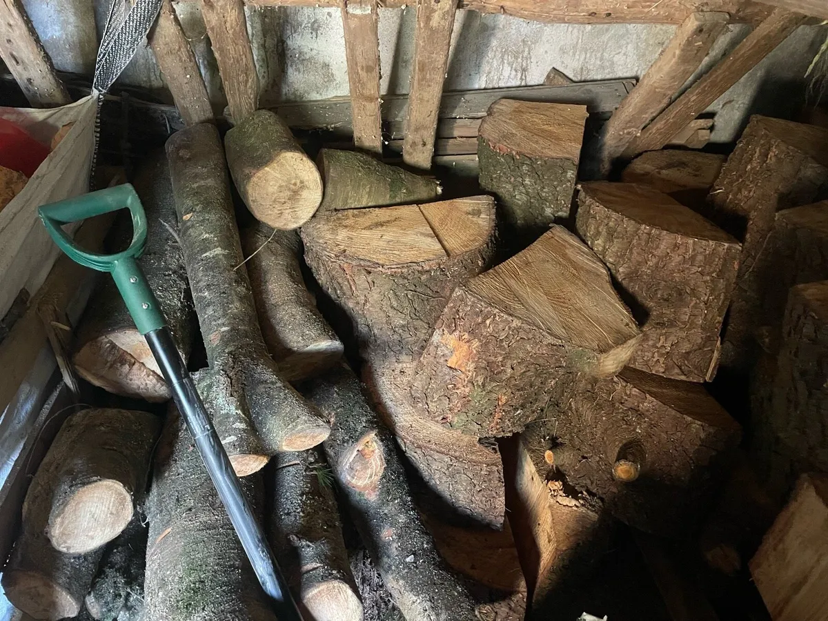 Firewood Rings: Trailer of Cedar - Image 3