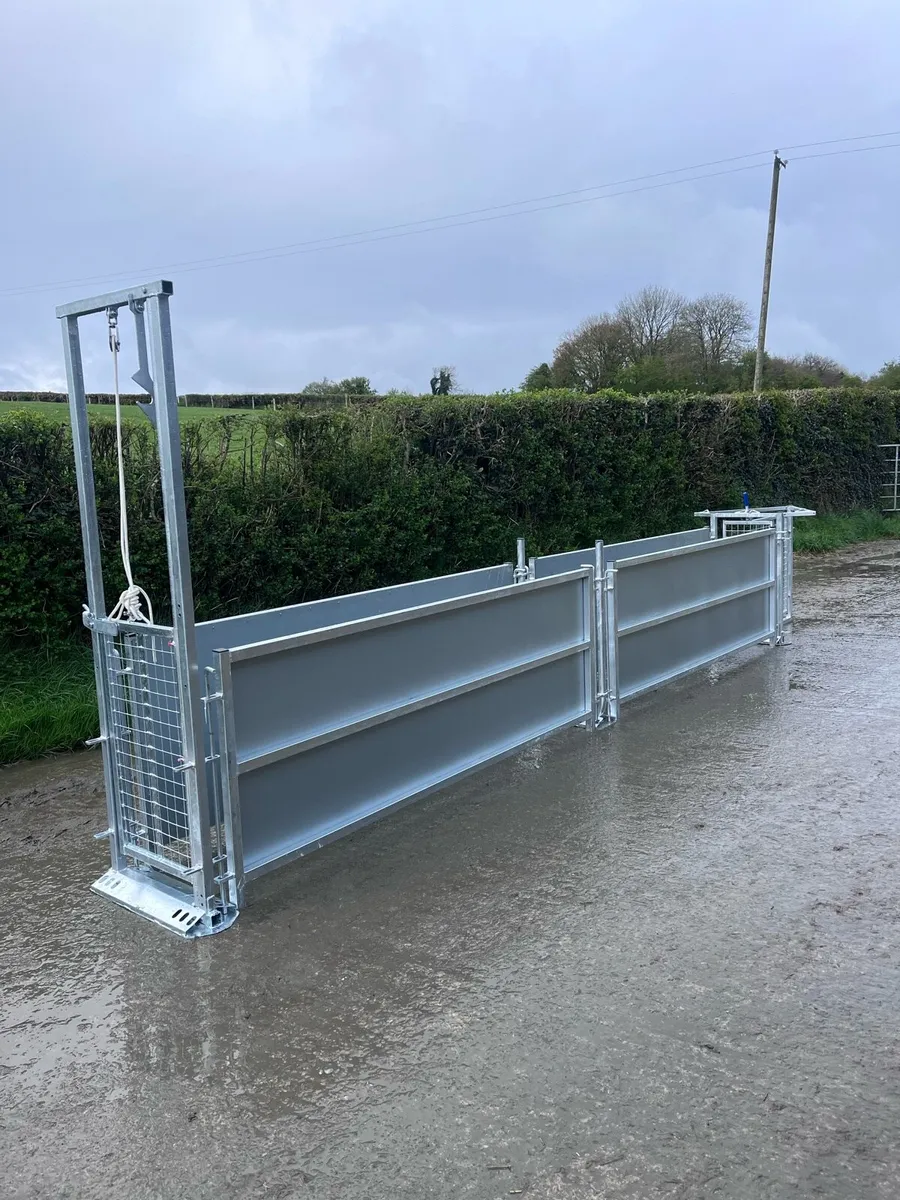 16ft sheep race - Image 1