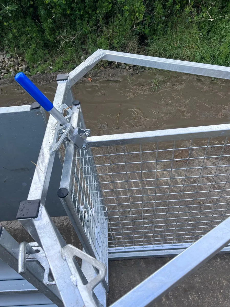 16ft sheep race - Image 3