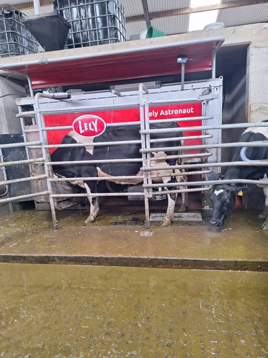 Farm Manager / Assistant Manager Wanted - Image 1