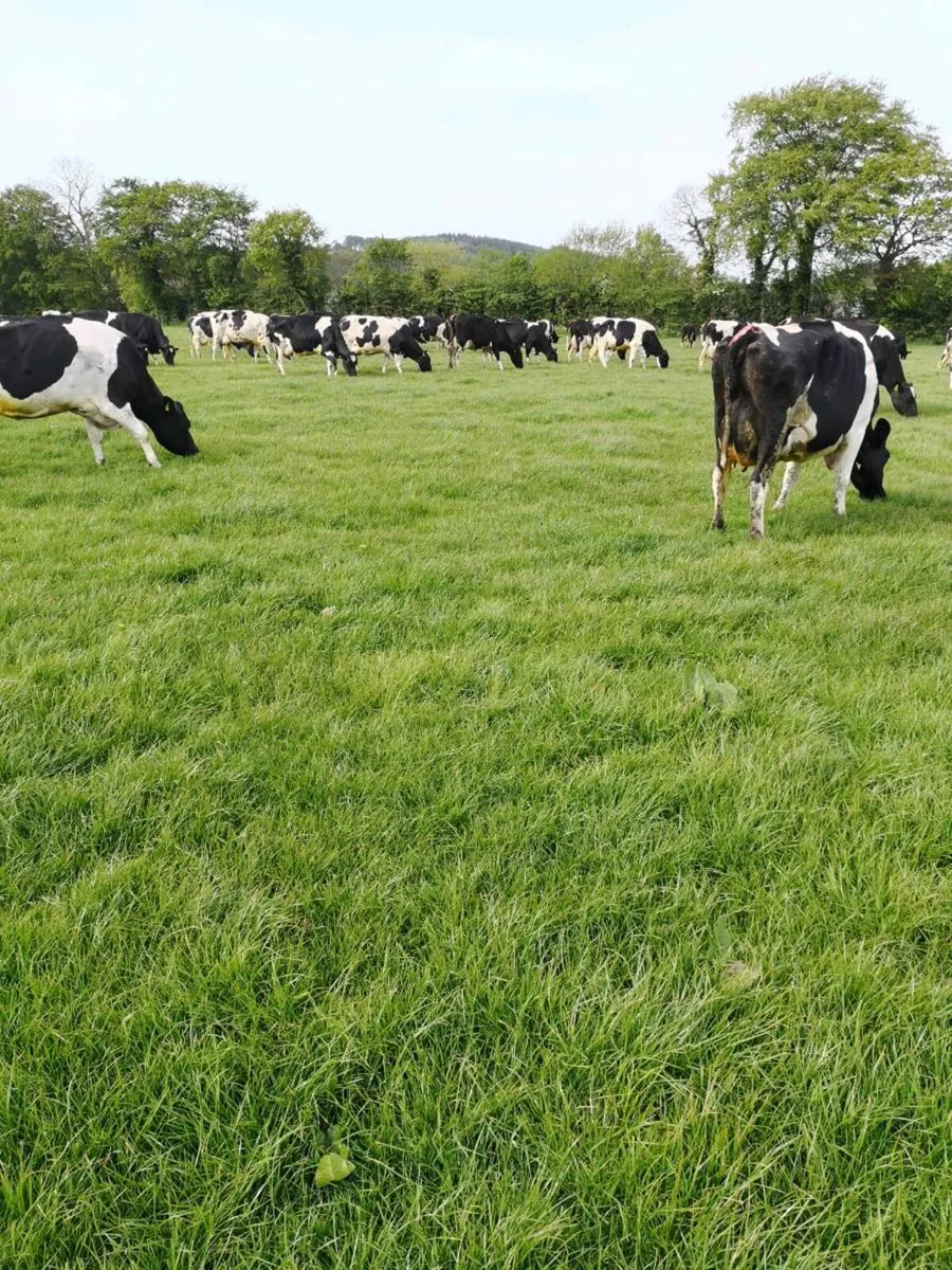 Farm Manager / Assistant Manager Wanted - Image 2