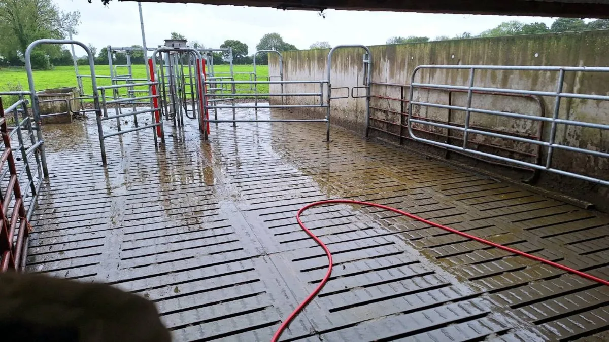 Farm Manager / Assistant Manager Wanted - Image 3