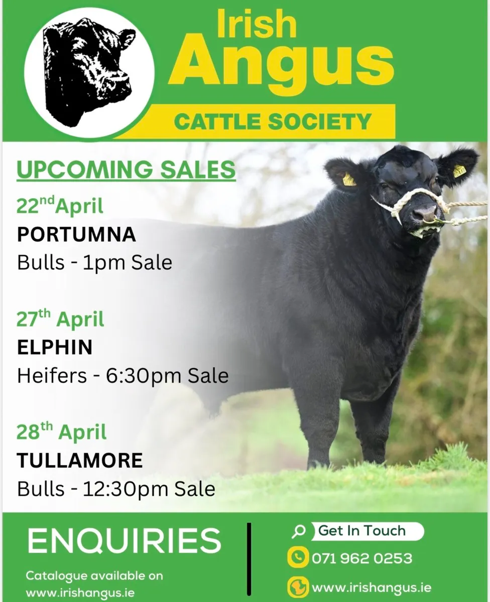 Irish Angus Cattle Society upcoming sales