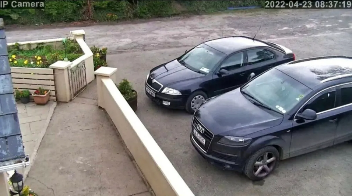 Security Cameras (Licensed installer) - Image 2