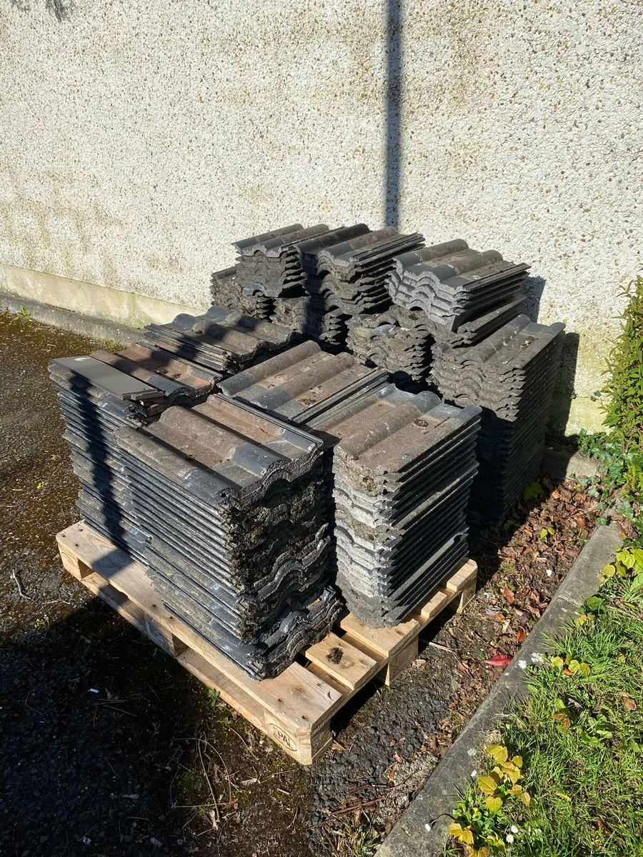 FREE ….. MUST BE GONE BY 8th May or will be dumped