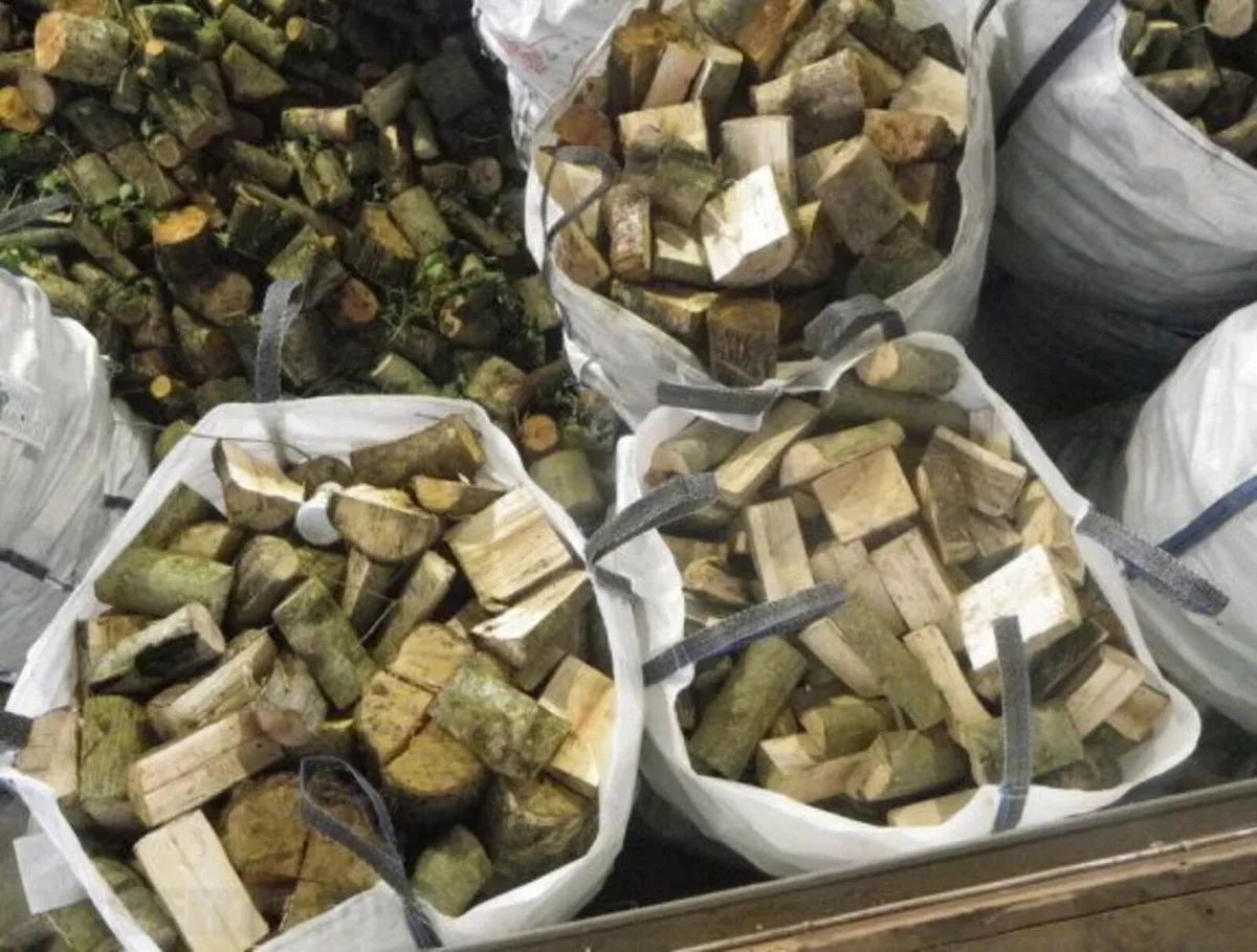 Hardwood Firewood Logs - Image 2