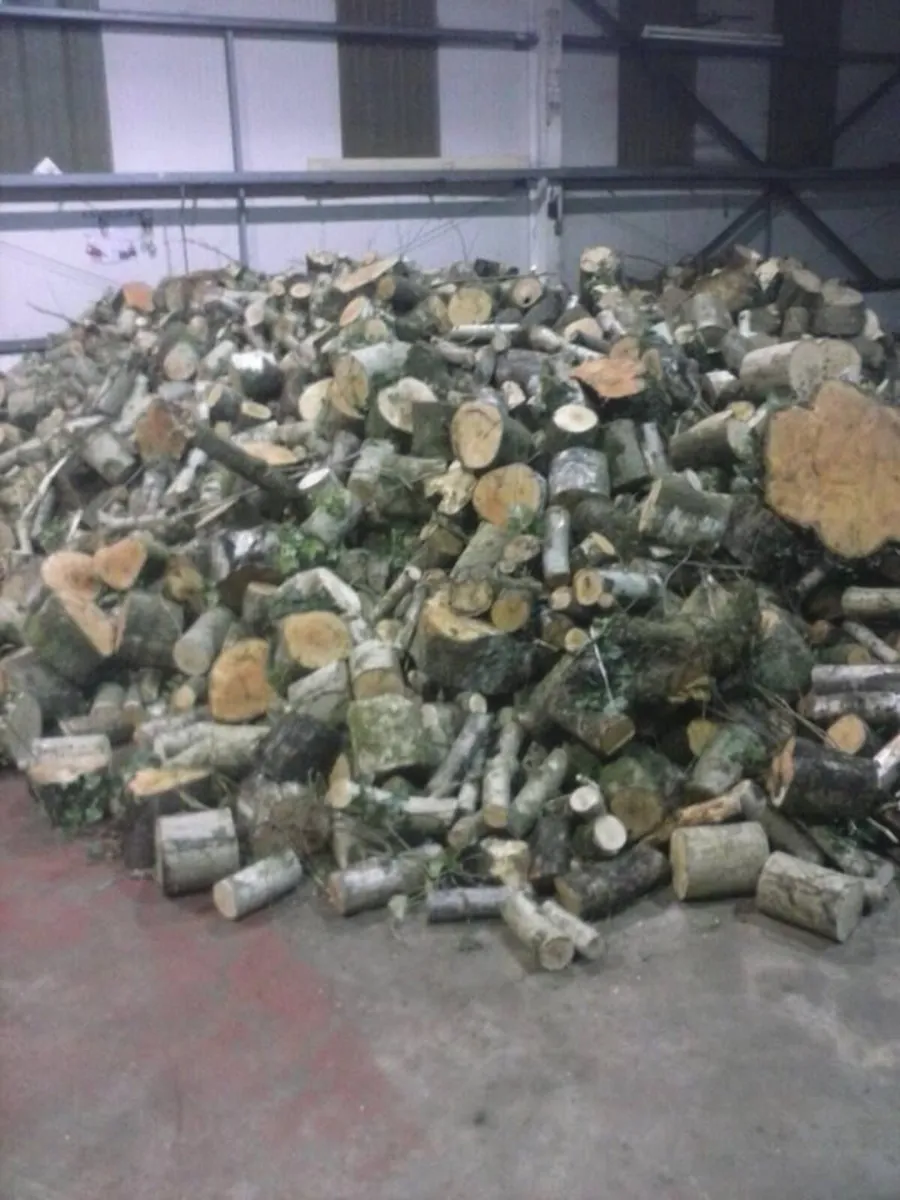 Hardwood Firewood Logs - Image 3