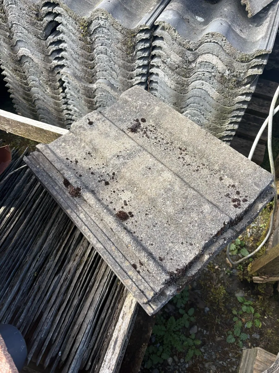 Roof and ridge tiles - Image 1