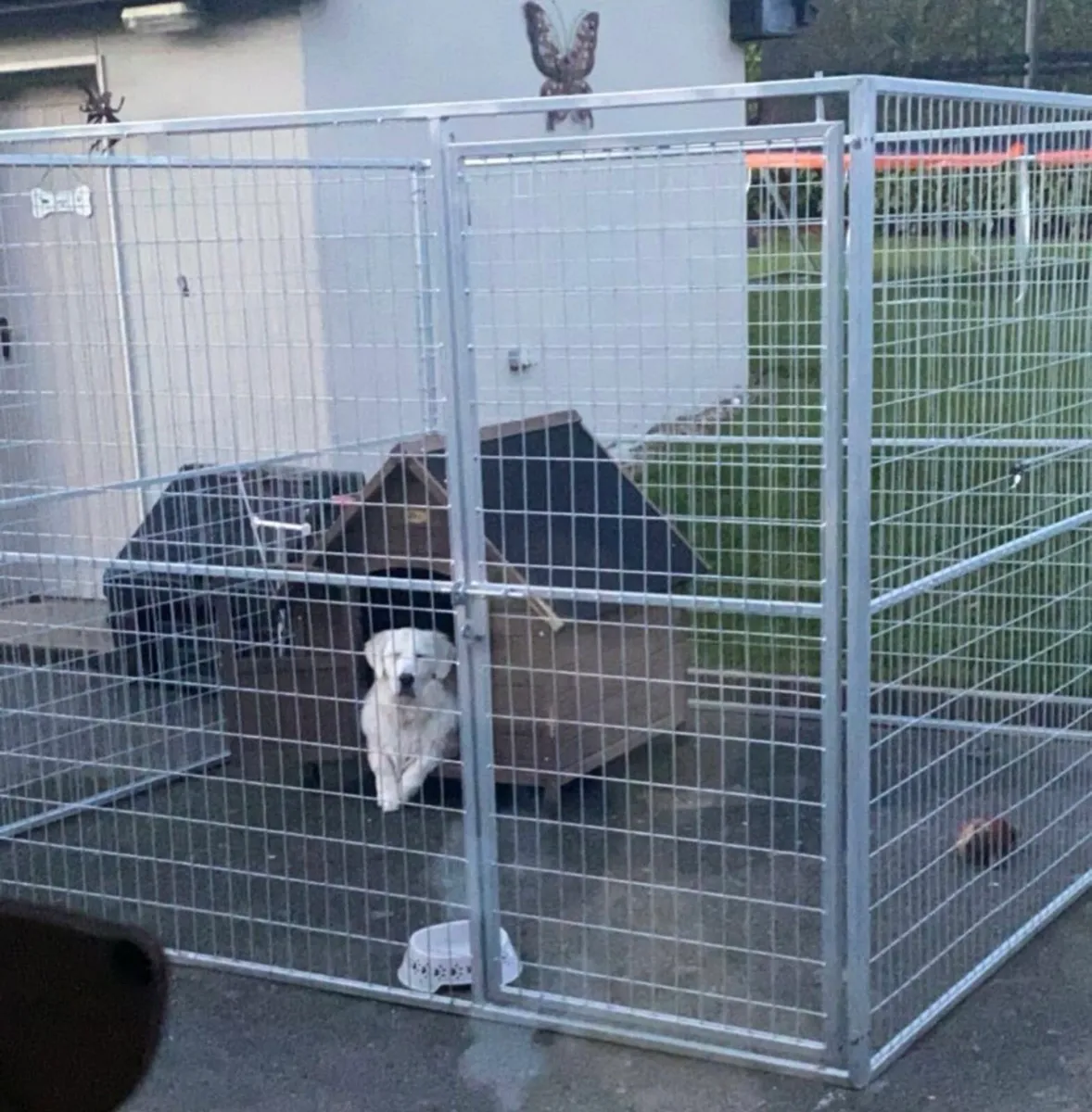 Dog pen - Image 1