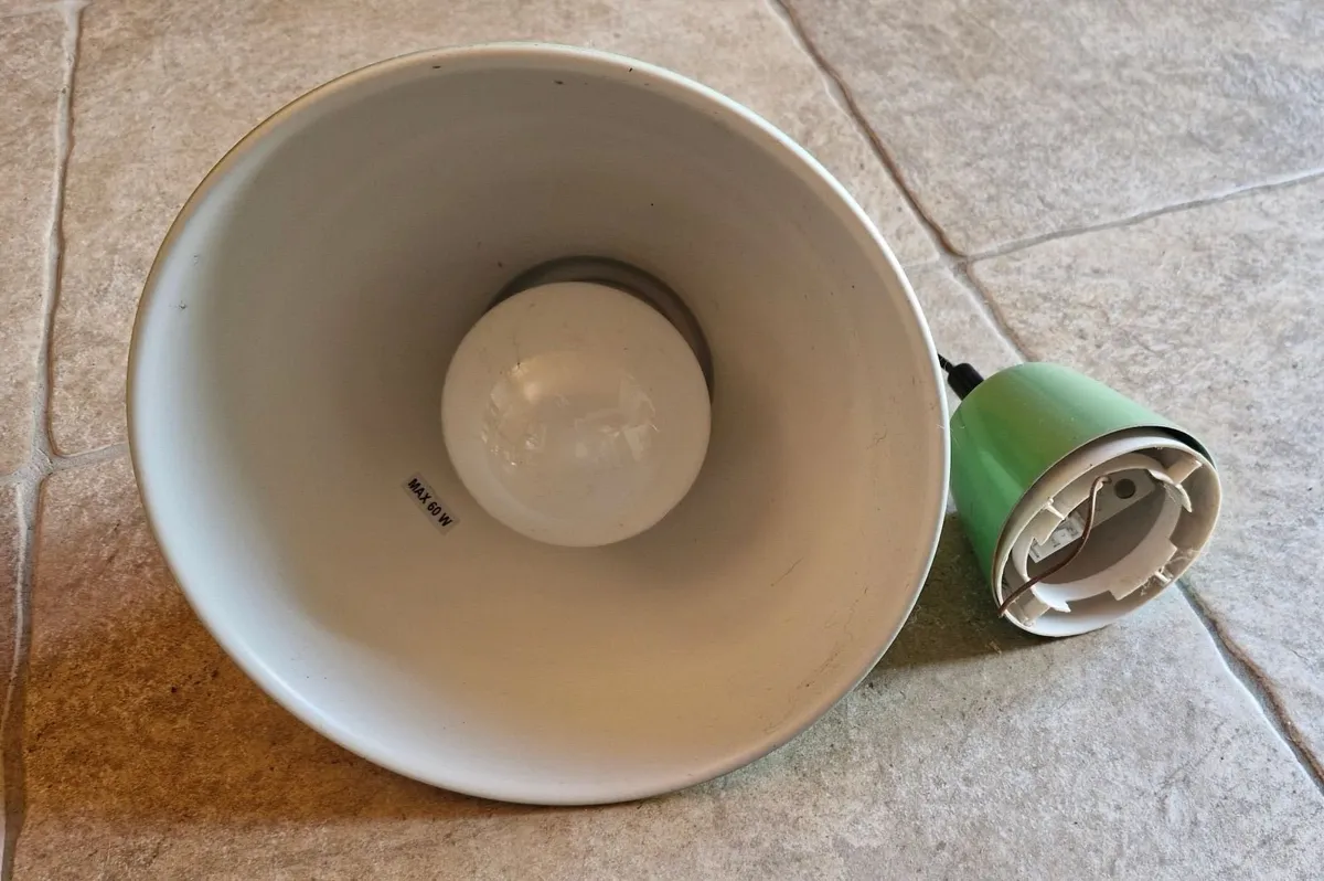 Pair of Green Hanging ceiling lights with bulbs - Image 2