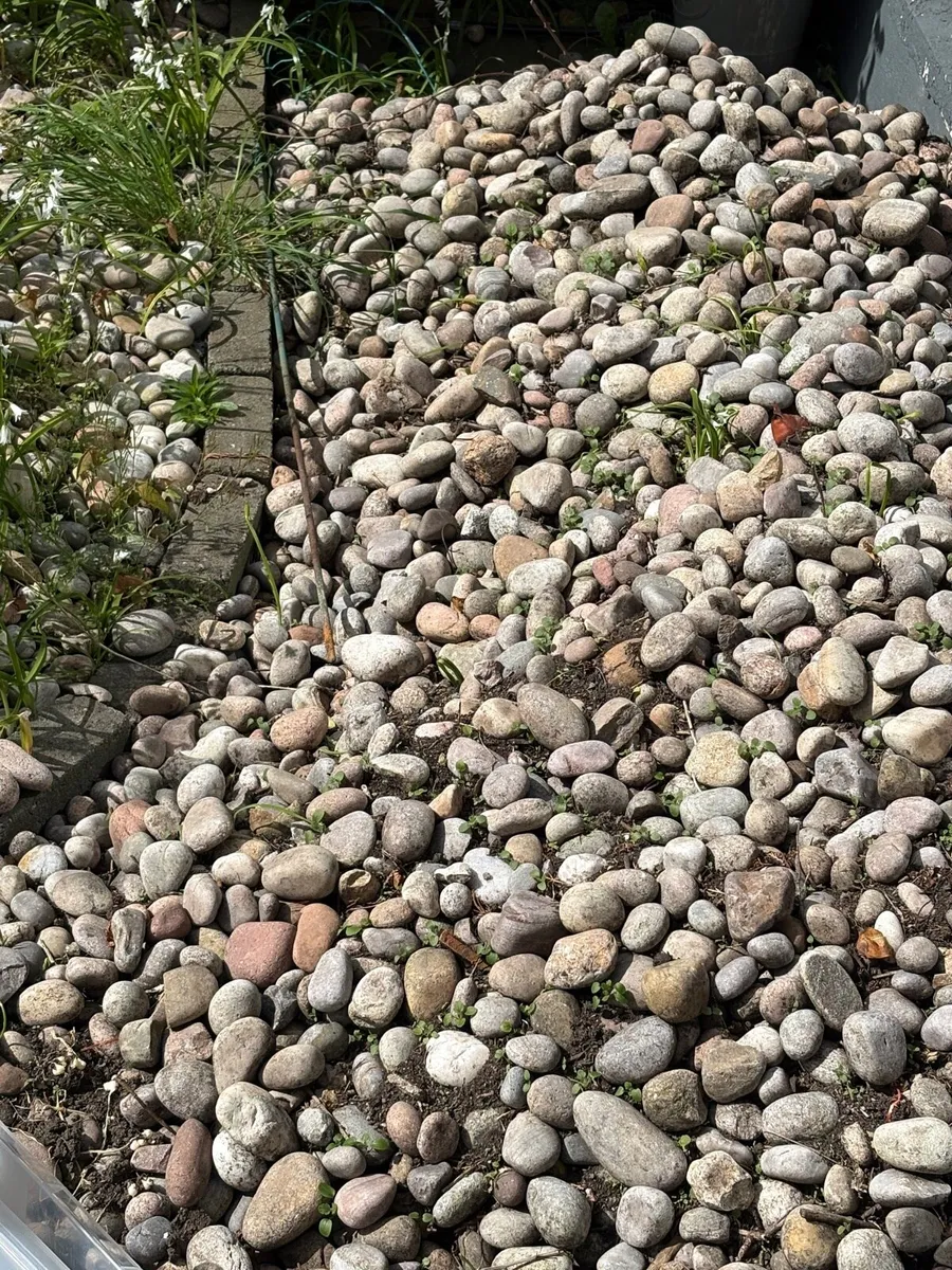 Free to take away Garden stones.