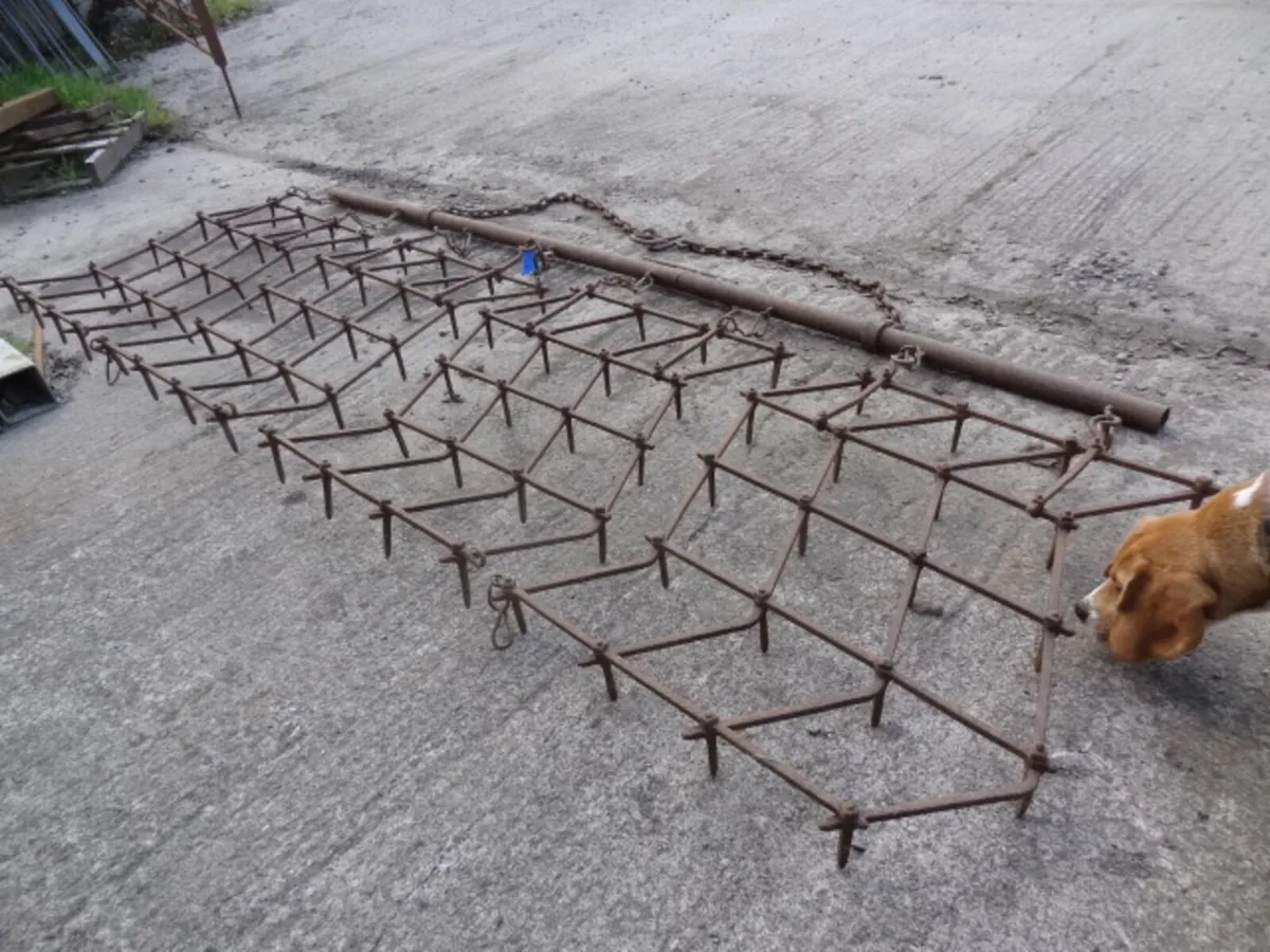 Trailed 4 section Pin Harrow - Image 4